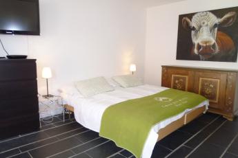 chic studio apartment in Verbier